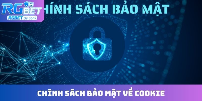 Chính sách bảo mật về cookie, lưu trữ hồ sơ